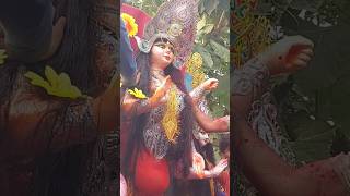 visarjan shortclips ytshortsvideo [upl. by Nilrac380]