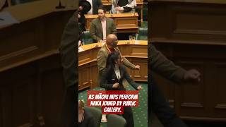 Māori MPs Haka Halts Parliament in Epic Show of Culture [upl. by Siuluj962]