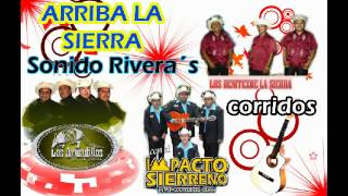 arriba la sierra mix armadillos los benitez impacto sierreño corridos [upl. by Nabalas989]