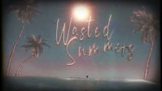 Wasted Summers  juju Visualizer [upl. by Oirtemed]