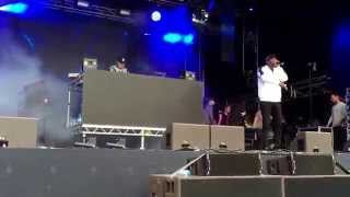 Ace Hood Flow  Skepta  Detonate Festival 2015 [upl. by Adirehs]