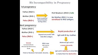 RH Incompatibility II Molar Pregnancy II DN Bhatta [upl. by Llevel]