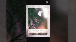 Moonology  Third Quarter Moon  Oracle Card [upl. by Ellennoj]