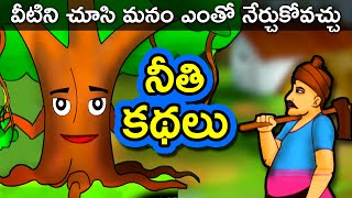 నీతి కథలు  Telugu Moral Stories  Short Stories in Telugu  Telugu Fairy Tales [upl. by Lerrehs]