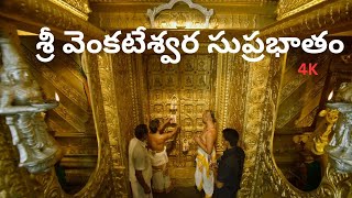 Suprabhatam  Venkateswara Swamy  సుప్రభాతం  Trendy Trends MK [upl. by Nilad]