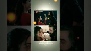 Satranga songfrom Arijit Singhshorts viralvideo song [upl. by Ehctav]