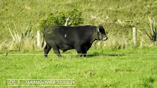 Lot 5 TARANGOWER 22054 SV [upl. by Kcirtapnaes]