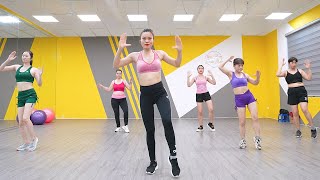 Burn Stubborn Belly Fat 🔥 Exercises to Get Slim Waist  Reduce Lower Belly Fat  AEROBIC DANCE [upl. by Anehsak437]