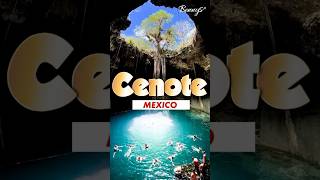 Mexico Cenote bennys cenote mexico [upl. by Aerdnaxela]