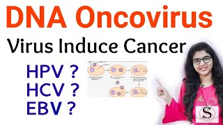 DNA Oncoviruses  Virus Induce Cancer  Oncogenic viruses [upl. by Alled610]