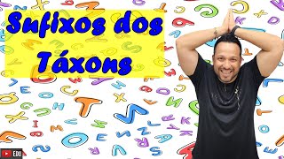 Sufixos dos Táxons  Nomenclatura das Categorias Taxonômicas  Taxonomia [upl. by Cassandre]