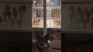 German Shepherd Guards Vintage Toys genx germanshepherd gsd vintage [upl. by Farr906]