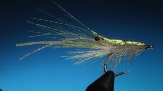 Fly Tying the Ribbon Salt Water Shrimp fly with Barry Ord Clarke [upl. by Gib]