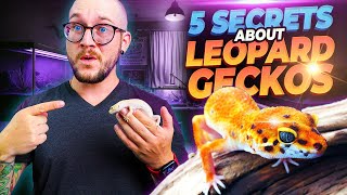 5 Things They NEVER TELL YOU About Getting A Leopard Gecko  MUST WATCH THIS FIRST [upl. by Ahsiema202]