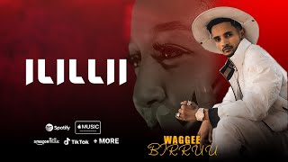 Ilillii New Afan Oromo Music 2024 by Waggee Birruu SOFUMAR TUBE Official vidio [upl. by Nimajaneb310]