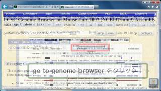 UCSC Genome Browserの使い方～wig形式のファイルをトラックとして追加する～ [upl. by Chui]