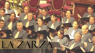 La Zarza  Coro de Dorcas IEP Sargento Aldea [upl. by Ocicnarf710]