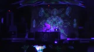 Koan Live 26 11 2010 [upl. by Laohcin]