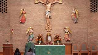 800am Mass from Holy Cross Catholic Church  November 5 2024 [upl. by Lois]