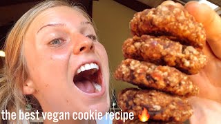 Vegan Peanut Butter Chocolate Oatmeal Cookies  THE BEST EASY amp HEALTHY VEGAN COOKIES 🥜🍪🍫 [upl. by Lambert323]