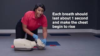 American Red Cross CPR Adults [upl. by Nalahs635]