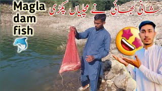 Shani Bhai caught fish Magla dam fish [upl. by Rosy]