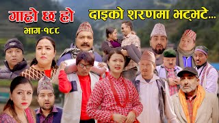 दाइको शरणमा भट्भटे II Garo Chha Ho II Episode 188 II Feb 05 2024 II Begam Nepali II Riyasha Dahal [upl. by Atinniuq58]