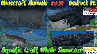 Aquatic Craft Addon Closed Beta Whale Showcase Download BedrockPE Minecraft Animals Ep187 [upl. by Anig]