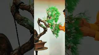 INSTRUCTIONS FOR CREATING THE EASIEST AND MOST BEAUTIFUL LANDSCAPING TREES bonsai bonsaiideas [upl. by Besse699]