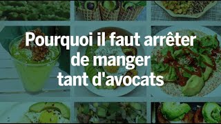 Pourquoi il faut arrêter de manger tant davocats [upl. by Zoe839]