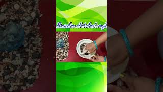 How To Make Planter From Plaster Of Paris Using Bowl  Baseline Art And Craft [upl. by Ames923]