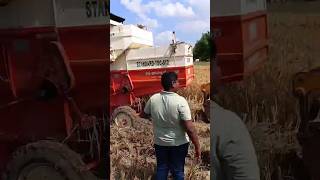 Jcb ramu helping harvester stuck in paddy field jcbramu jcbhelping [upl. by Dowling]