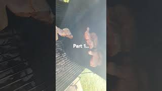 Im grilling leg quarters today [upl. by Ahsinert]