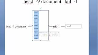 Commandes de base Linux  Ep11  commandes head et tail  opérateur tube  suite [upl. by Yelsek]