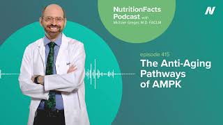 Podcast The AntiAging Pathways of AMPK [upl. by Gerhardine]