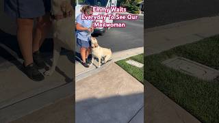 My Labrador Retriever Waits Every Day To See Her Favorite Mailwoman [upl. by Adnilym]