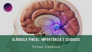 Palestra Sobre Glândula Pineal  Importância e Cuidados [upl. by Marinelli]