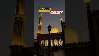 Jama Masjid beautiful view  Purani dilli ❤️ short shorts trending youtubeshorts jamamasjid [upl. by Ortiz419]