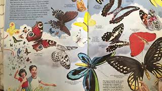 Zoobooks Butterfly Species [upl. by Nilad402]