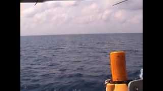 NZ Skyhawk flyby on HMAS Darwin [upl. by Lednek]