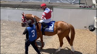 Kentucky Derby Champion Rich Strike returns to the races in 2023 Alysheba Stakes [upl. by Takken]