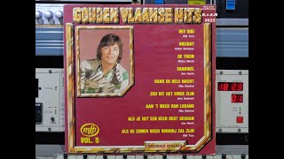 Gouden Vlaamse Hits Vol 5 Remasterd by B v d M 2022 [upl. by Sholom943]