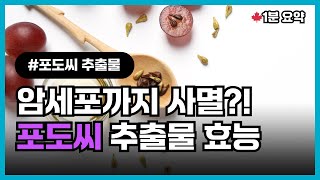 항산화제 신흥강자 포도씨 추출물의 놀라운 효능과 복용법 [upl. by Gnad521]