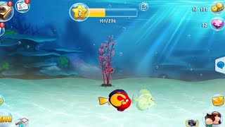 Relaxing Aquarium Game ep1 [upl. by Malda]