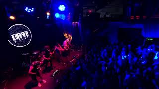 Cobweb live in Austin Texas 2024 [upl. by Ahsimrac]