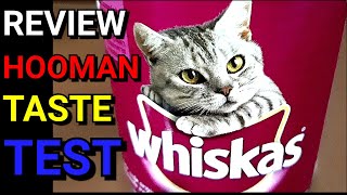 Whiskas Kitten Food TV Commercial 2016 [upl. by Nitsir620]