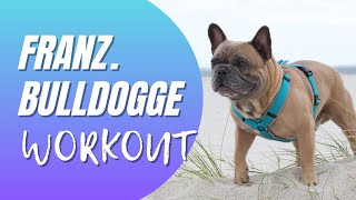 Work Out  Französische Bulldogge Training Hundesport Revier [upl. by Lered]