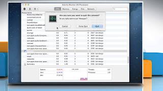 How to Quit from Activity Monitor in Mac® OS X™ [upl. by Alekat]