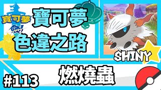 寶可夢劍盾【色違之路】 113【燃燒蟲】小豪會不會來偷我寶可夢『Pokemon Sword amp Shield』 [upl. by Errehs]