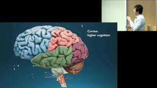 Dr Octavio Choi presents Brain Basics An Introduction to Cognitive Neuroscience [upl. by Bohun]